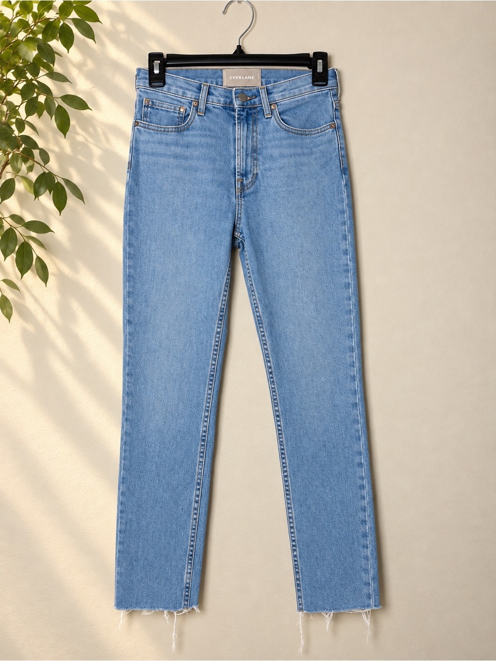 Everlane Straight Leg Ankle Jeans in Light Blue Denim